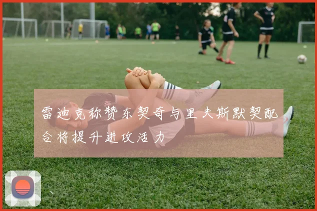 雷迪克称赞东契奇与里夫斯默契配合将提升进攻活力