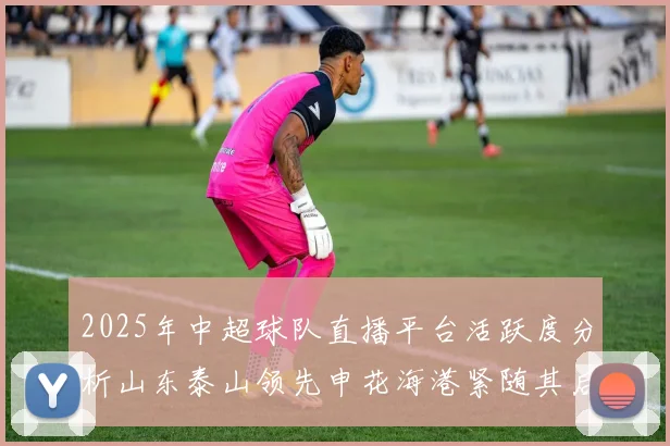 2025年中超球队直播平台活跃度分析山东泰山领先申花海港紧随其后